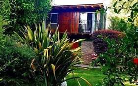 Mi Jardín